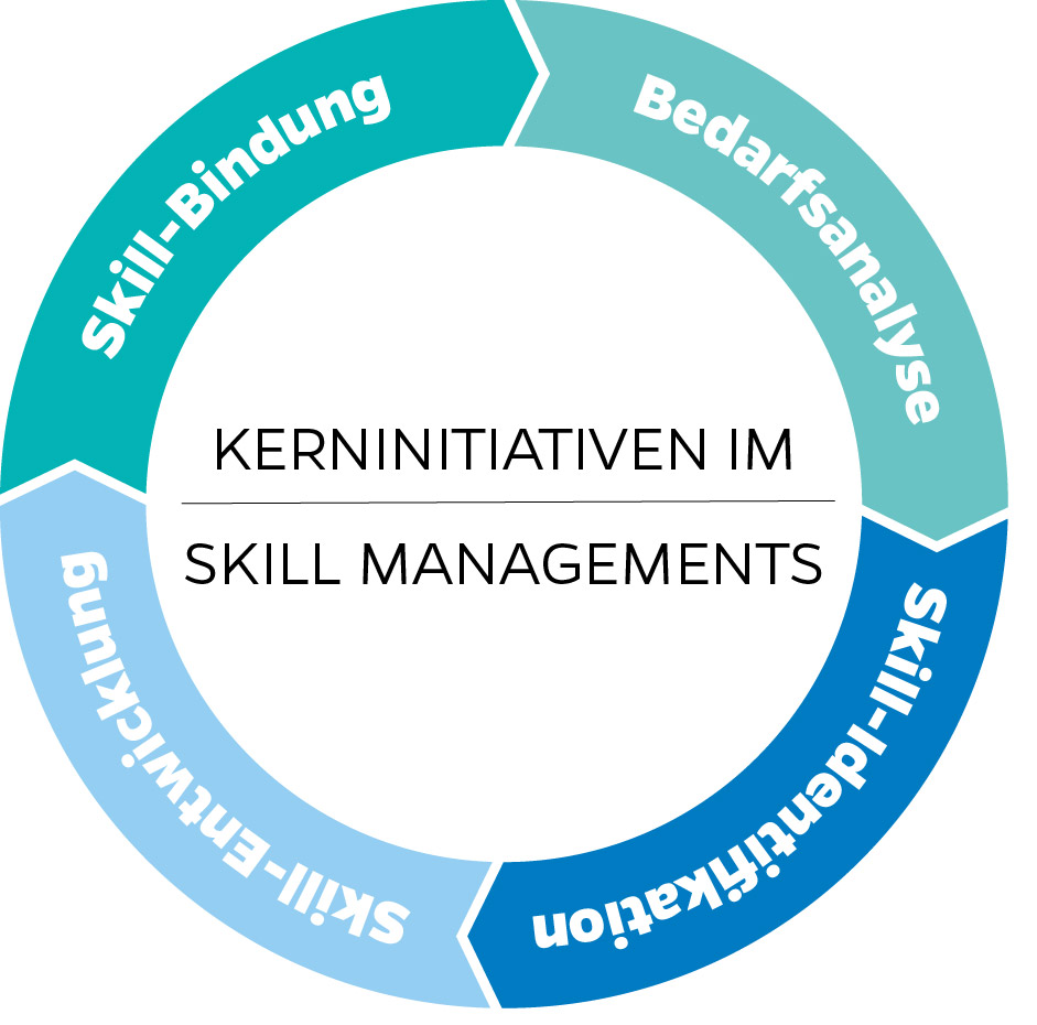 Skill-Management-Kerninitiativen