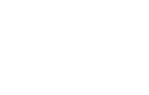 Vion