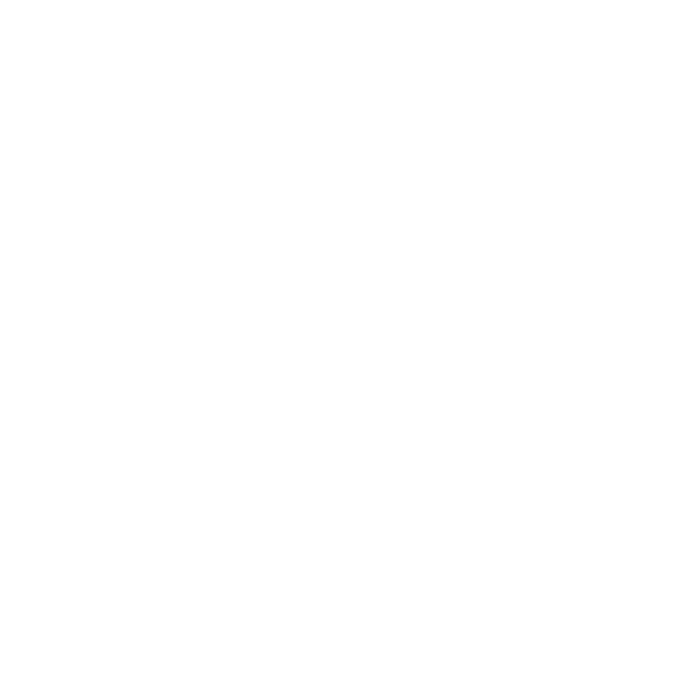 Check Icon