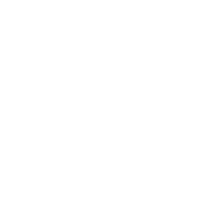 Perplexity